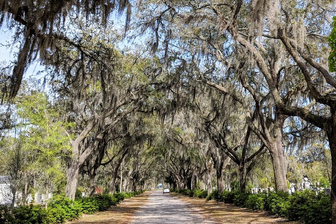 Private Tour of Savannah's Historic/Victorian Districts & Bonaventure Cemetery - Why A Private Historic-District Tour Beats Guessing