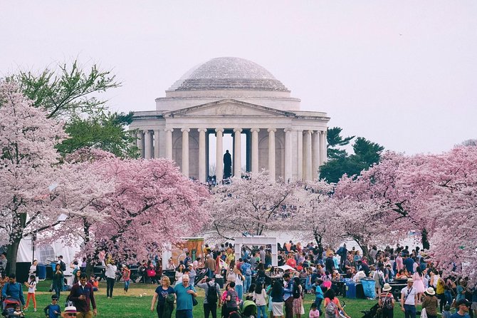 Private Washington DC City Tour - Why this private DC half-day tour feels less hectic and more meaningful