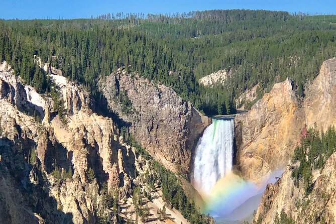 Private Yellowstone Tour: ICONIC Sites, Wildlife, Family Friendly Hikes + lunch - Early pickup and a private “wildlife first” mindset