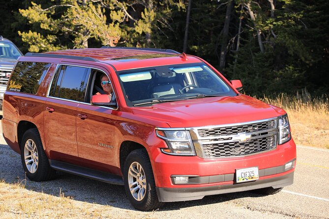 Private Yellowstone Tour: ICONIC Sites, Wildlife, Family Friendly Hikes + lunch - Who this tour fits best