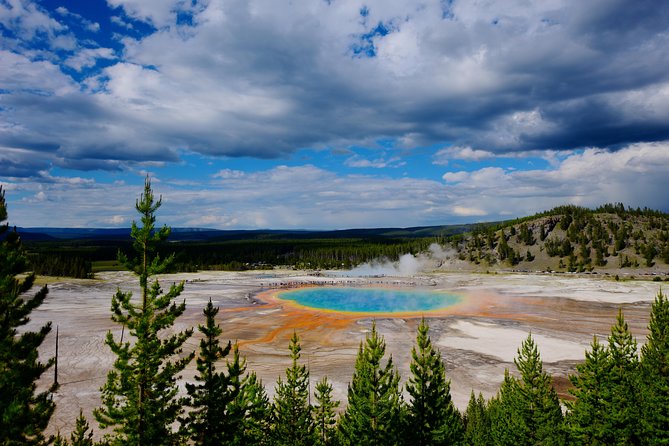 Private Yellowstone Tour: ICONIC Sites, Wildlife, Family Friendly Hikes + lunch - A realistic look at the 7 to 9 hour pace