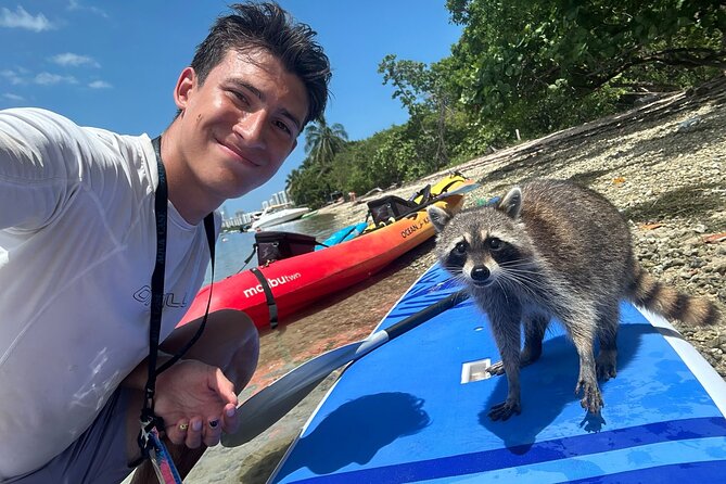 Raccoon Island: Exploration on SUP/Kayak - SUP or Kayak to Sandspur Island and the raccoon moment