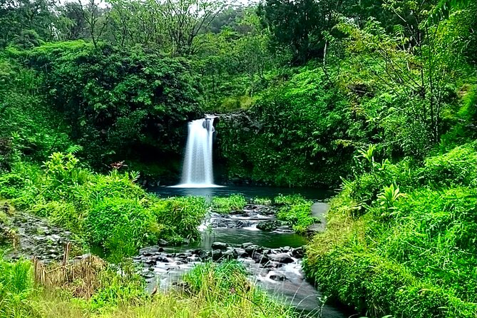 Rainforest Tour to Hana and Beyond - Road to Hana, Guided: Why This Style of Tour Makes Sense
