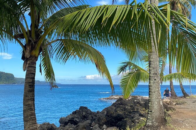 Rainforest Tour to Hana and Beyond - Rainbow Eucalyptus to State Park Lookouts: Quick Stops That Set the Tone