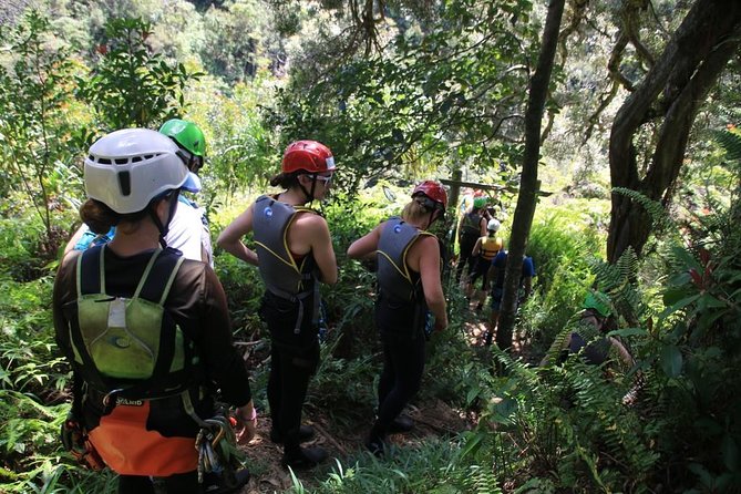 Rappel Maui Waterfalls and Rainforest Cliffs - Your Best Preparation Checklist Before You Meet at Hana Hwy
