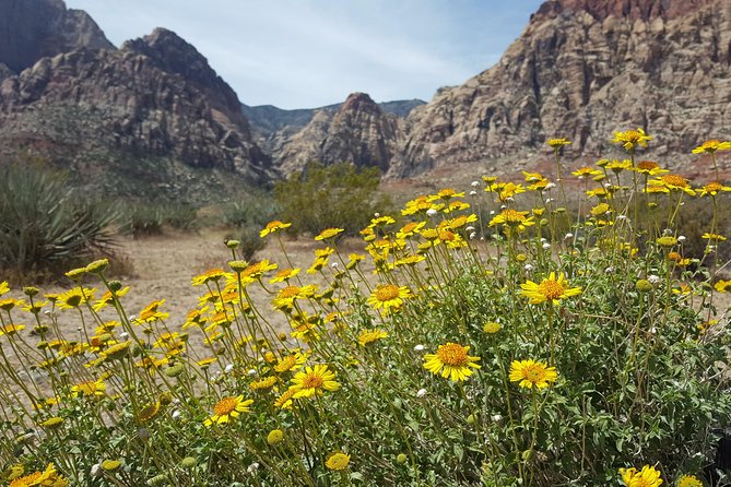 Red Rock Canyon eBike Half-Day Tour - The 17-mile route: what the electric assist really changes