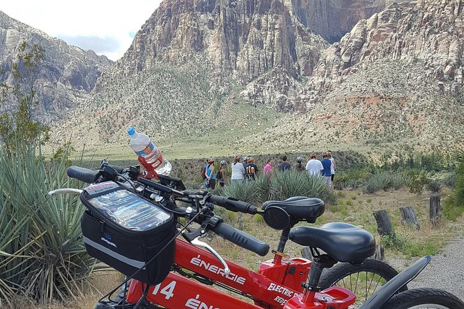 Red Rock Canyon eBike Half-Day Tour - Stops 2 to 4: petroglyphs, sandstone, and Joshua trees
