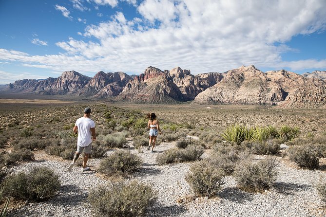 Red Rock Canyon Hike with Transport from Las Vegas - The 2-2.5 Hour Hike: What You’ll Be Doing Once You’re in the Canyon