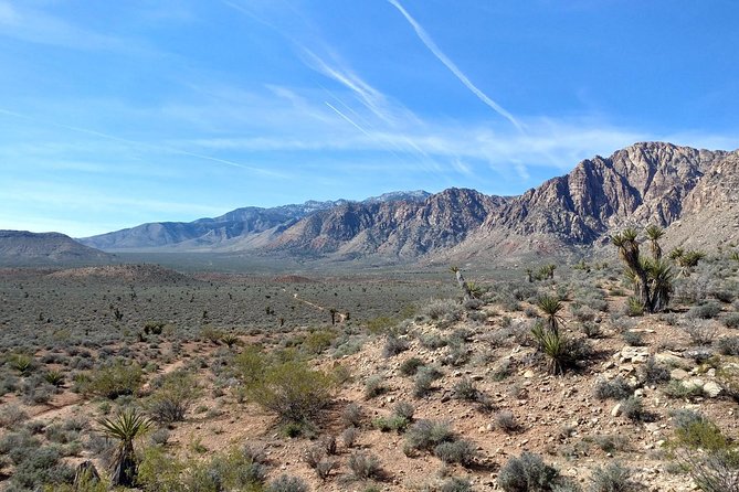 Red Rock Canyon Hike with Transport from Las Vegas - Terrain Reality Check: Moderate, Rocky Footing, and Why Shoes Matter
