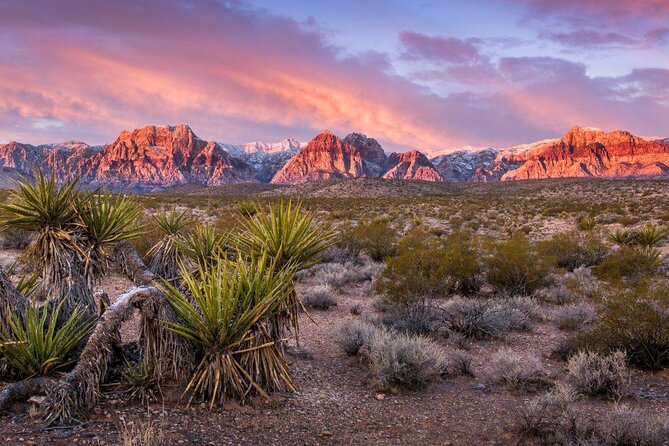 Red Rock Canyon Sunset Horseback Ride and Barbeque Dinner - Key highlights worth your time