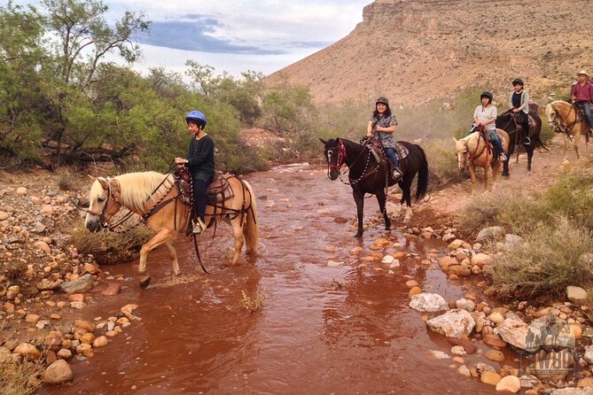 Red Rock Canyon Sunset Horseback Ride and Barbeque Dinner - Riding through Red Rock Canyon: what the trail is like at golden hour