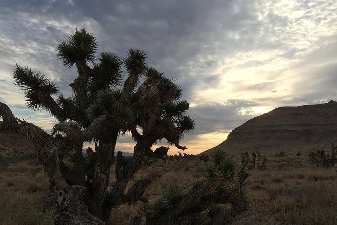 Red Rock Canyon Sunset Horseback Ride and Barbeque Dinner - Getting there from Vegas, without turning it into a day-long project