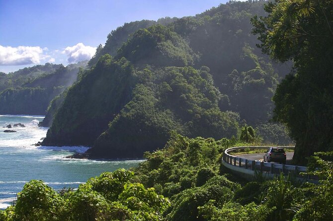 Road To Hana Black Sand Beach Waterfalls & Turtles Tour - Key things I’d watch for on this Hana tour