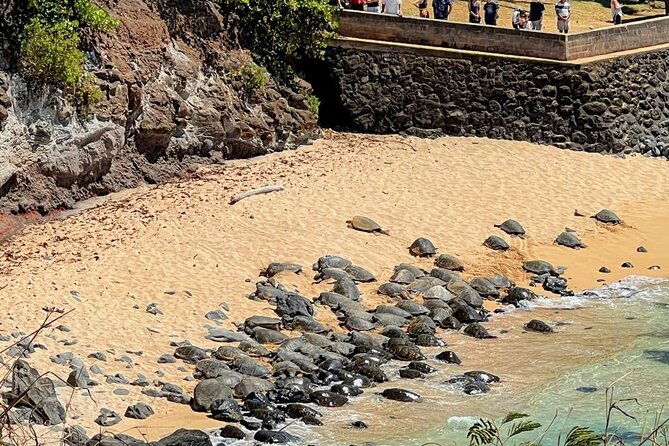 Road To Hana Black Sand Beach Waterfalls & Turtles Tour - Stop 2: Banana bread at 210 Keanae Rd, a quick local-food hit