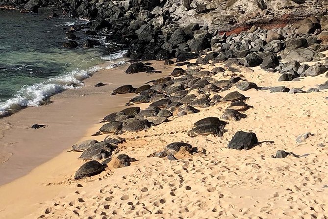 Road to Hana: Full-Day Scenic Drive with Blacksand & Waterfalls - Key points to know before you go