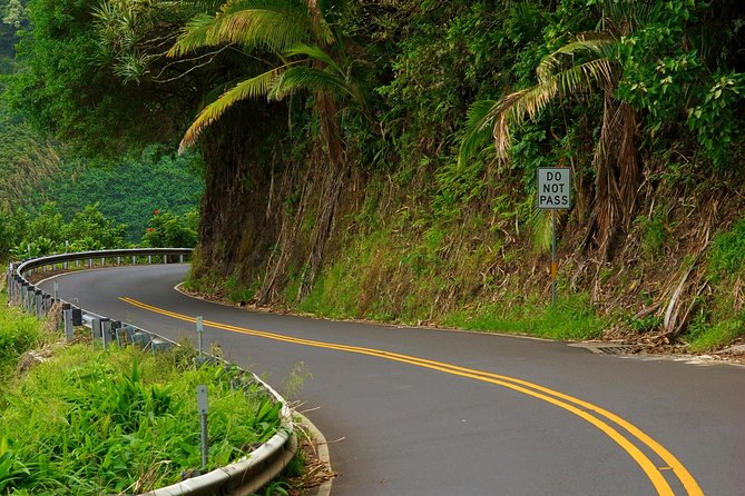 Road to Hana: Full-Day Scenic Drive with Blacksand & Waterfalls - Ho’okipa Beach Park: windsurf energy and turtle spotting