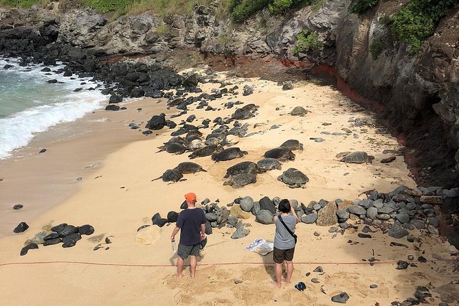 Road to Hana: Full-Day Scenic Drive with Blacksand & Waterfalls - Waterfalls along the road: drive-thru views and the perfect place to slow down