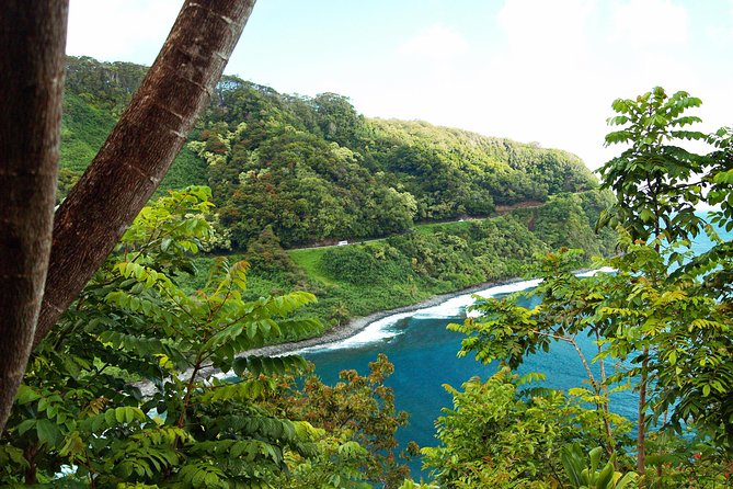 Road to Hana Tour with Lunch and Pickup - Lunch on a local flower farm picnic, plus the snack moments that people love