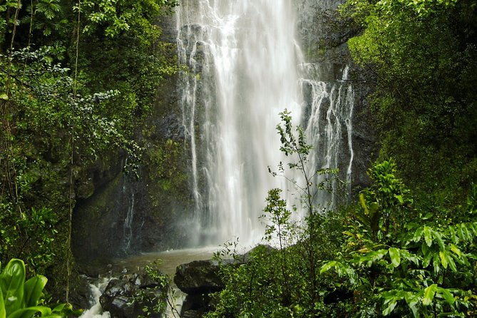 Road to Hana Tour with Lunch and Pickup - The guide factor: why local driving and pacing make the road easier