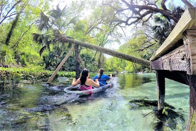 Rock Springs 2-Hour Glass Bottom Guided Kayak Eco Tour - The 2 to 2.5 hour paddle: what your upstream journey feels like