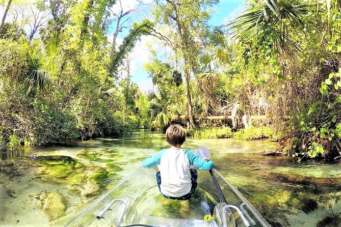 Rock Springs 2-Hour Glass Bottom Guided Kayak Eco Tour - Stop time: photos, spring water dips, and the hidden jump platform