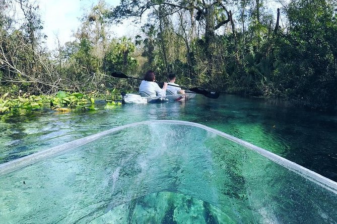 Rock Springs 2-Hour Glass Bottom Guided Kayak Eco Tour - Crowds and traffic on the water: what to expect