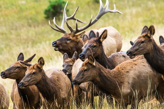 Rocky Mountain Escape - Key Things That Make This Tour Worth Your Time
