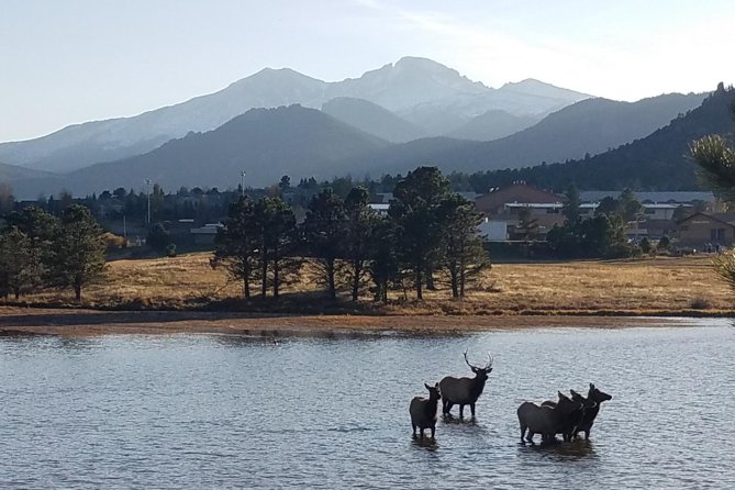 Rocky Mountain National Park and Estes Park Tour from Denver Winter and Spring - Beaver Meadows Visitor Center and Moraine Park elk meadows