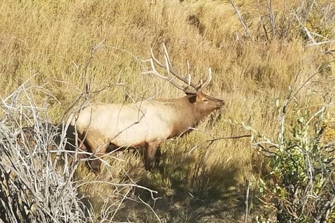 Rocky Mountain National Park and Estes Park Tour from Denver Winter and Spring - Bear Lake or Sprague Lake: why the lake choice matters in winter