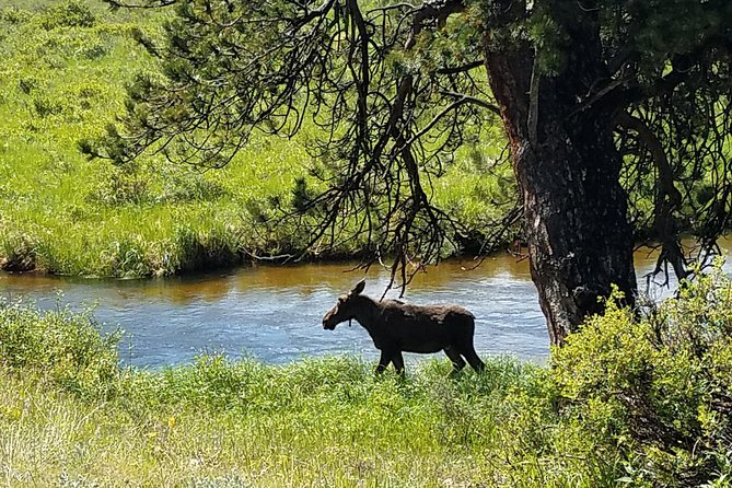 Rocky Mountain National Park and Estes Park Tour from Denver Winter and Spring - The Boulder drive: a scenic warmup before the park