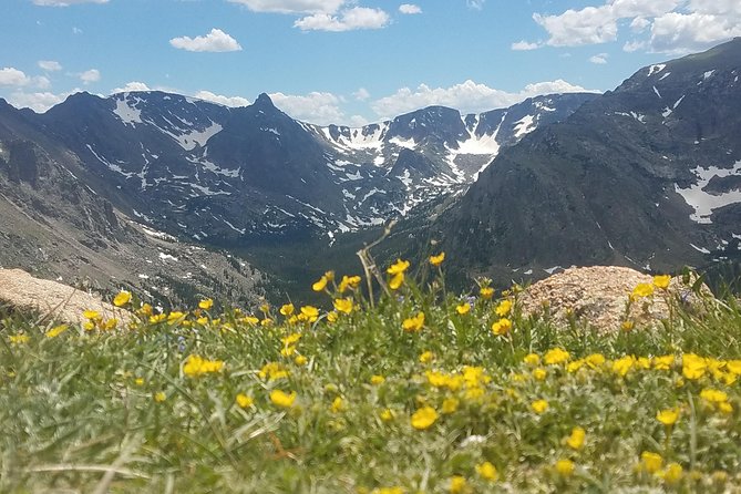 Rocky Mountain National Park in Summer Tour from Denver - Key things that make this tour worth your time