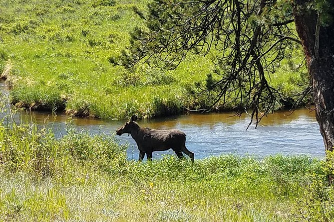 Rocky Mountain National Park in Summer Tour from Denver - Price and value, including what is covered