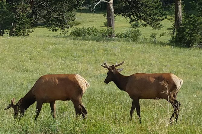Rocky Mountain National Park in Summer Tour from Denver - Reliability on a long day