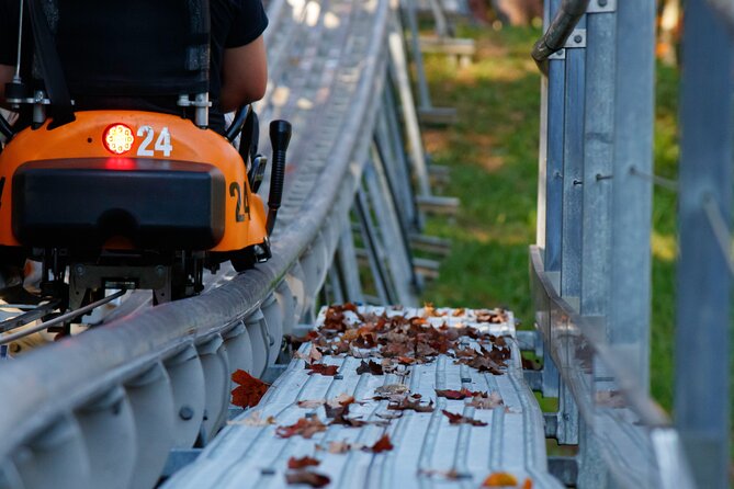 Rocky Top Mountain Coaster Admission Ticket in Pigeon Forge - Who this coaster fits, and who should think twice about it