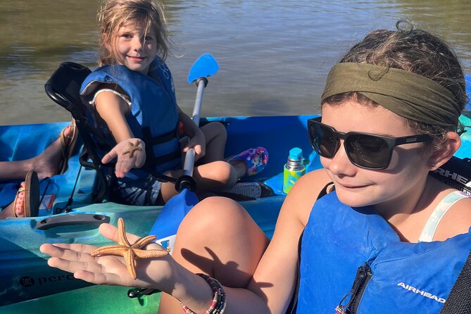 Rookery Bay Kayak Adventure – Mangroves, Wildlife & Photos - What You Actually Paddle Through in the Mangroves