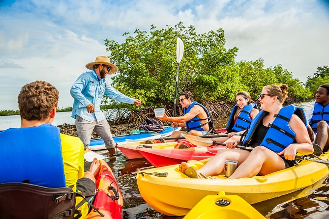 Rookery Bay Kayak Adventure – Mangroves, Wildlife & Photos - Wildlife Moments, Dolphins, Manatees, and Bird Life