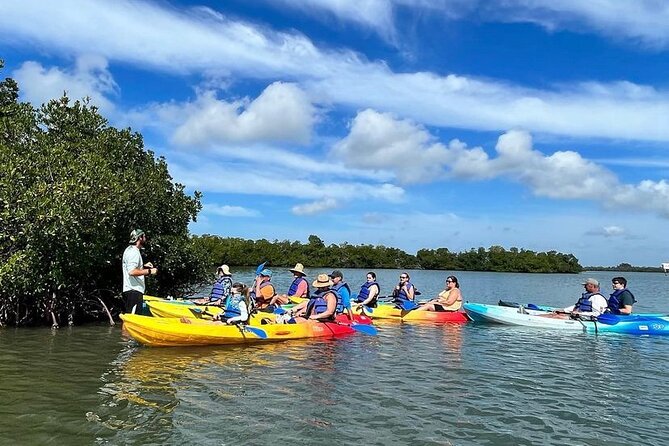 Rookery Bay Kayak Adventure – Mangroves, Wildlife & Photos - Single vs Tandem Kayaks and How Hard Is It?