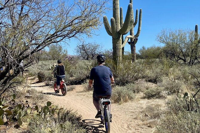 Saguaro National Park East E-Bike Tour - Guides make the day: from Mike to Jeff to Carol