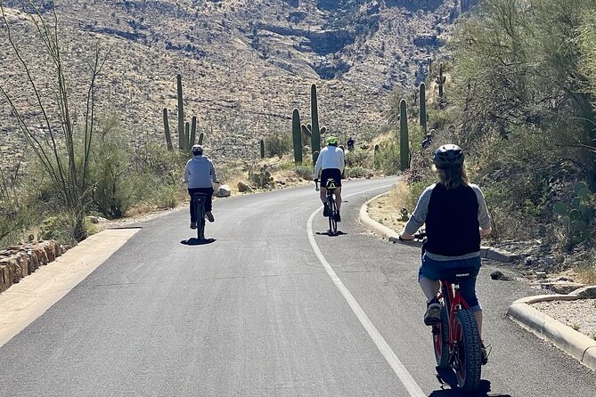 Saguaro National Park East E-Bike Tour - Effort level and fit: who this tour suits (and who should skip it)