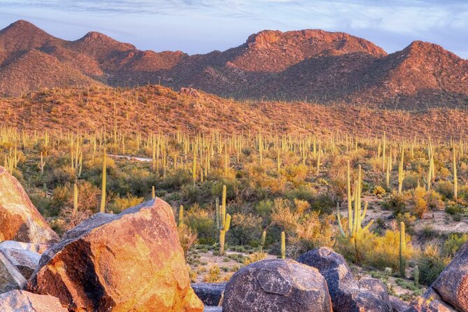Saguaro National Park East E-Bike Tour - What to pack, and why water is not optional