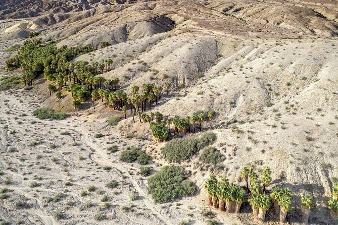 San Andreas Fault Jeep Tour from Palm Desert - Key things to know before you go