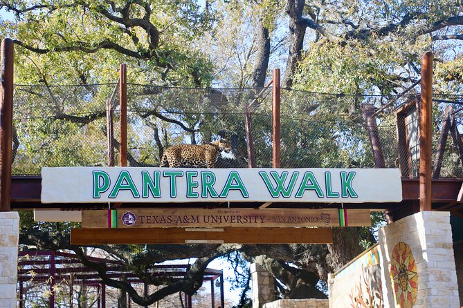 San Antonio Zoo General Admission Ticket - Getting Around: Strollers, Scooter Help, and the Train Question