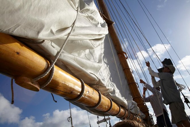 San Diego Bay Sail Aboard a Vintage Yacht Beer and Wine Included - Should You Book This San Diego Bay Sail on Liberty?