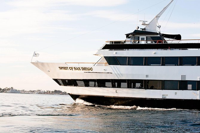 San Diego Harbor Cruise - Listening well: narration, sea life, and what to focus on