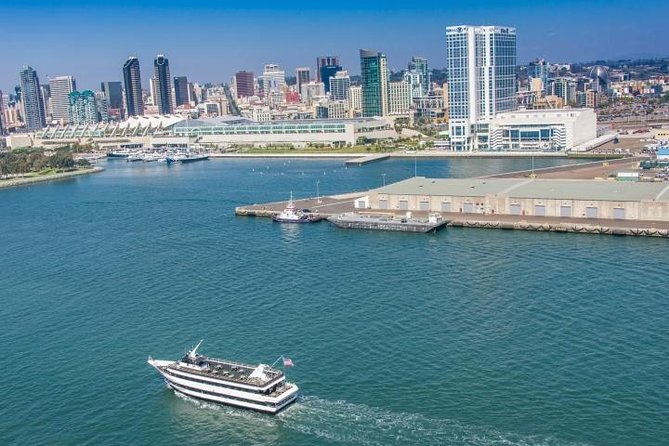 San Diego Harbor Cruise - Seals and sea lions: how to spot them without losing your breeze-free comfort