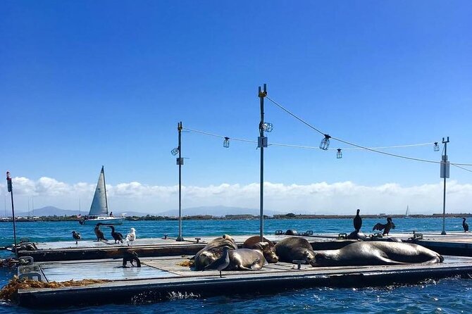 San Diego Harbor Speed Boat Adventure - USS Midway, Star of India, and the Maritime Museum, up close on purpose