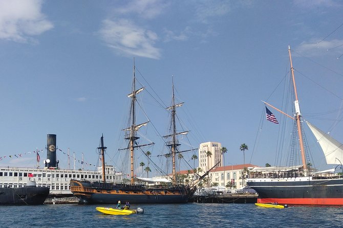 San Diego Harbor Speed Boat Adventure - Point Loma sea lions and the bait barge stop, wildlife right in your path