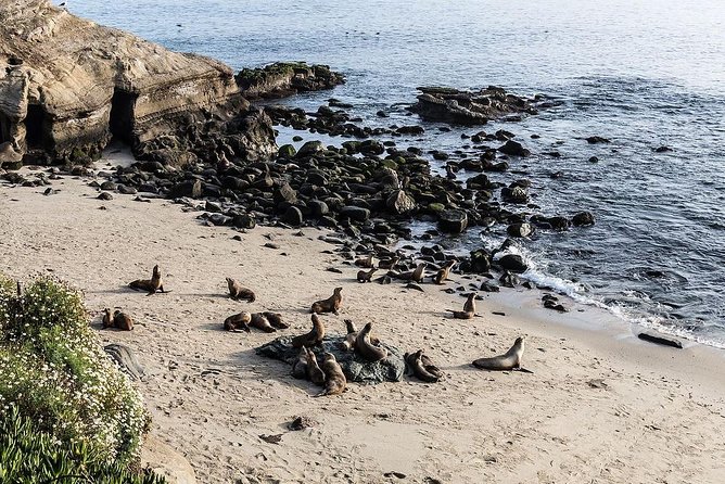 San Diego Scenic Tour - Old Town San Diego State Historic Park: Hispanic Culture and California Origins
