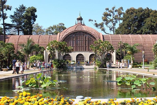 San Diego Scenic Tour - La Jolla Cove: Sea Lions and Pelicans, Plus a Photo-Friendly Walk