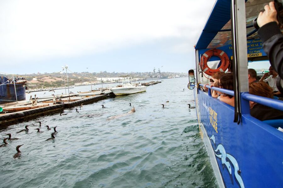San Diego: SEAL City Tour by Amphibious Bus - Why the guide makes a difference (Kim, Amy, Kyle, Jim, and more)